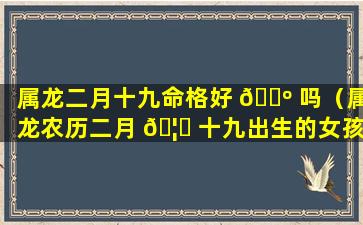 属龙二月十九命格好 🌺 吗（属龙农历二月 🦁 十九出生的女孩）